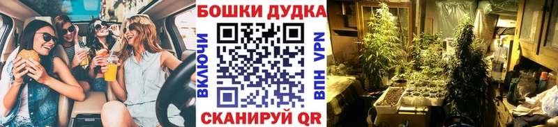 Канабис Amnesia  Липки 